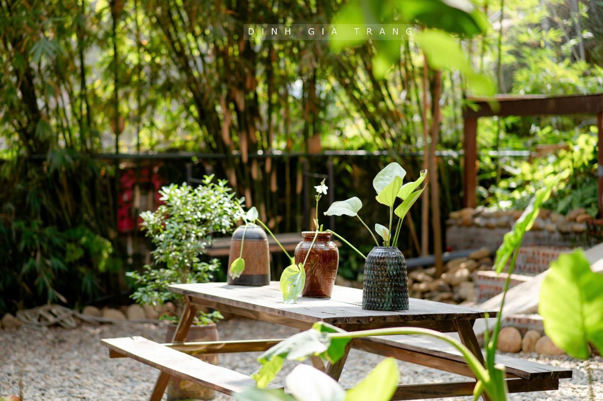 Dinh Gia Trang - Homestay & Coffee The Ruong Dış mekan fotoğraf