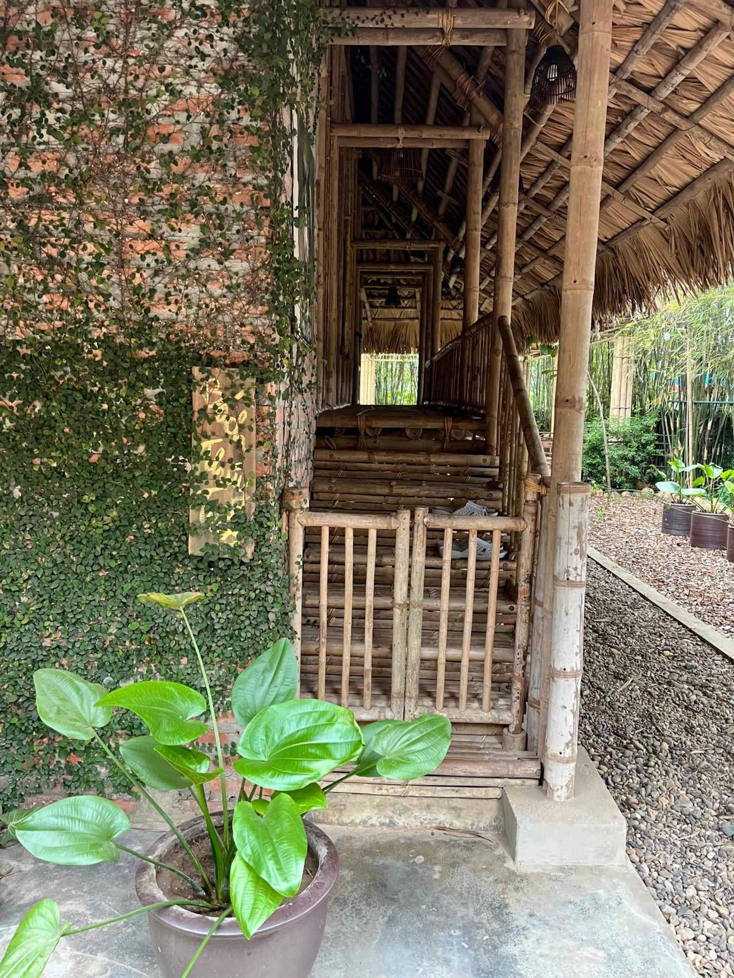 Dinh Gia Trang - Homestay & Coffee The Ruong Dış mekan fotoğraf