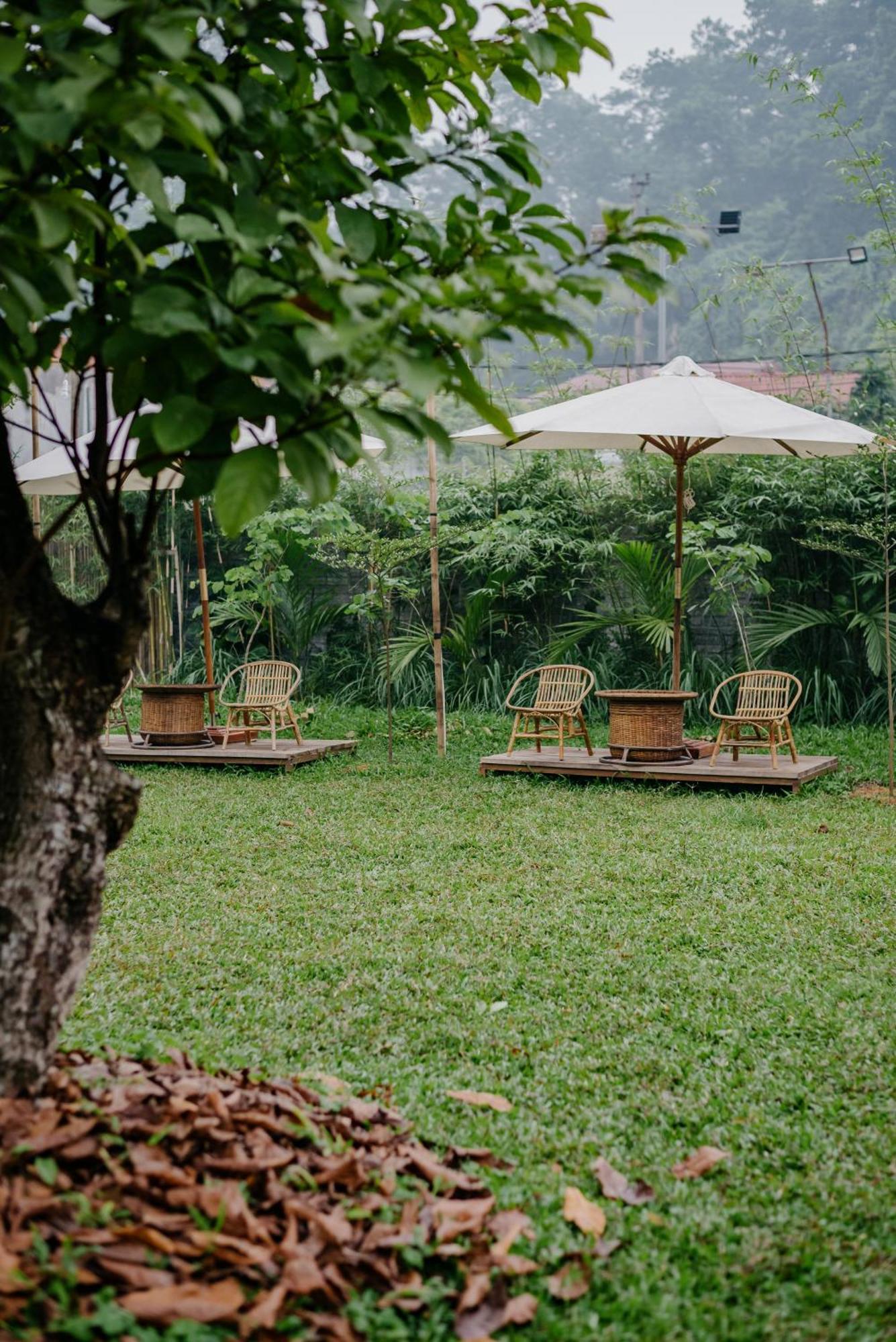Dinh Gia Trang - Homestay & Coffee The Ruong Dış mekan fotoğraf